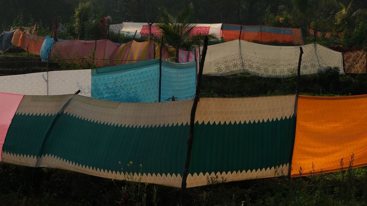 In rural India, kaleidoscopic saris protect precious crops