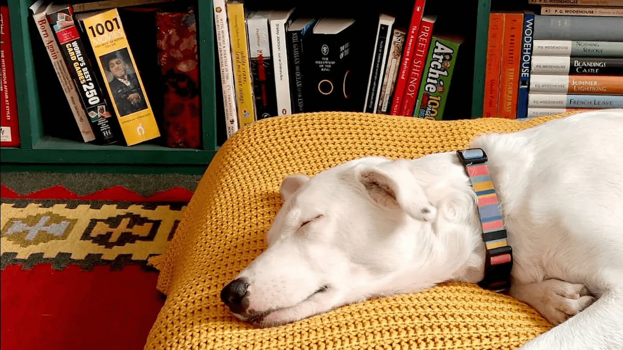 This small bookstore in Delhi has grand plans for the city’s readers