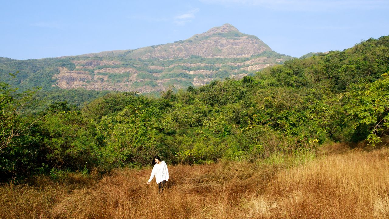 Dharana at Shillim is the go-to wellness retreat for nervous system repair