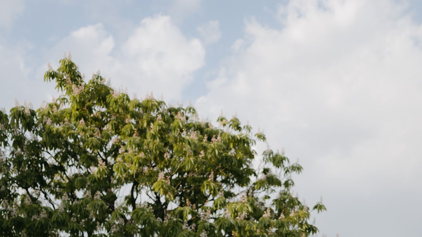 At their Mussorie wedding, this Maharashtrian-South Indian couple took each other’s last names
