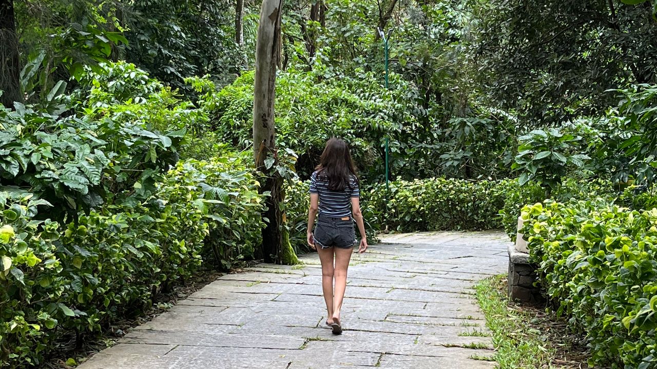Forest bathing made me fall back in love with my job