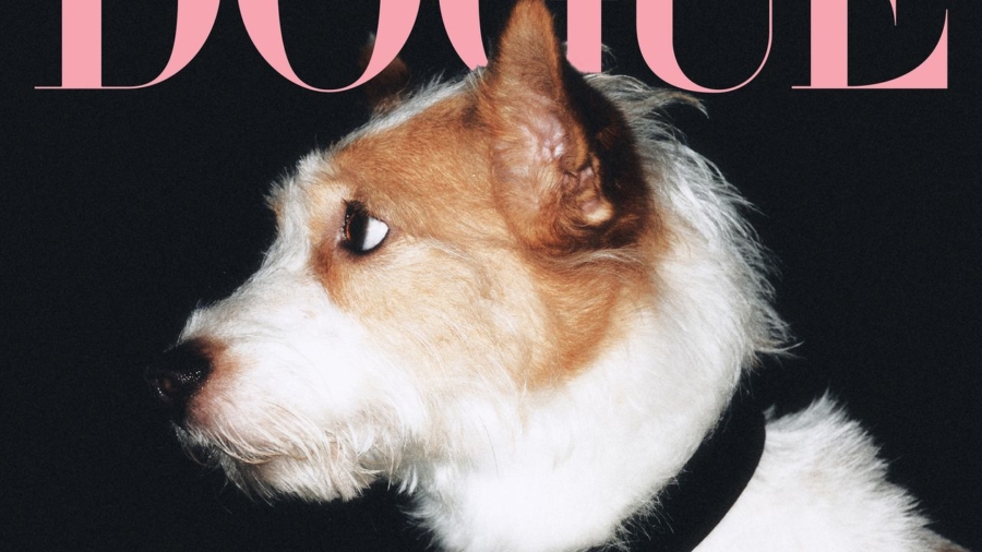 00-DOGUE2025_ROSECC81_SONGYIYOON_COVER-RZ.jpg
