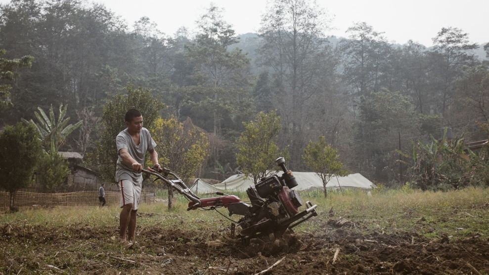 How farm stays in India are turning bed-rotting travellers into hard-working farmhands